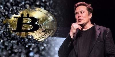 Илон Маск добавил возможность покупки Tesla за Bitcoin - как изменился курс и сколько стоит криптовалюта - ТЕЛЕГРАФ