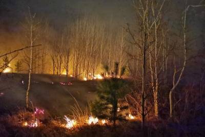 Мужчина, устроивший лесной пожар в Забайкалье, оплатит расходы на его тушение