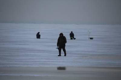 В Красносельском районе со льда вывели почти сотню рыбаков-нарушителей