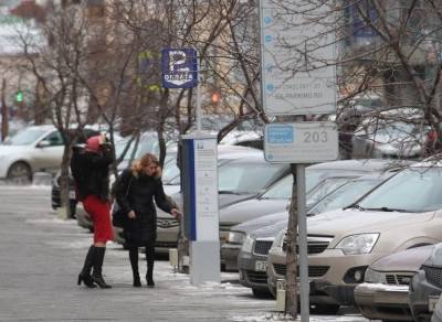 Глава комитета по транспорту Екатеринбурга рассказал, когда заработают платные парковки