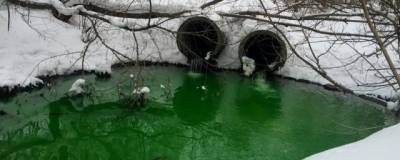 В Челябинске река Миасс стала ярко-зеленой