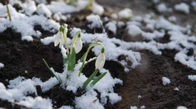 Завтра в ряде областей Украины ожидается снег с дождем