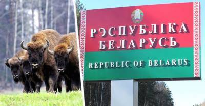 Белоруссия объявила, что ее санатории для российских туристов обойдутся на 20% дешевле, чем в РФ