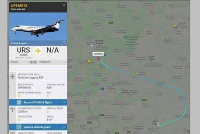 В аэропорту Брянска приземлился частный самолет