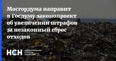 Мосгордума направит в Госдуму законопроект об увеличении штрафов за незаконный сброс отходов