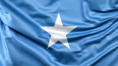 Правительство Сомали привлекает инвестиции в бизнес на фоне политического кризиса