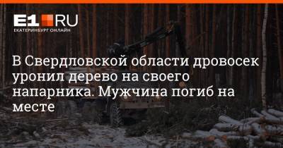 В Свердловской области дровосек уронил дерево на своего напарника. Мужчина погиб на месте