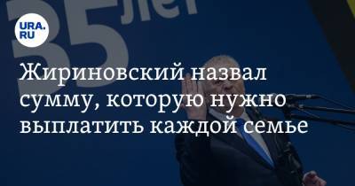 Жириновский назвал сумму, которую нужно выплатить каждой семье