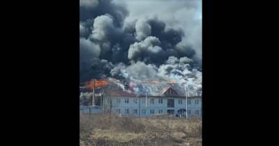 На Закарпатье начался масштабный пожар в комплексе для переселенцев за 120 млн грн (видео)