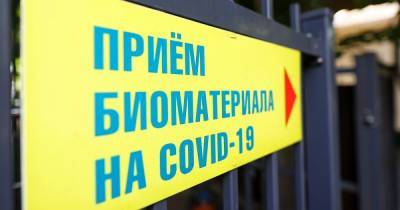 В Калининградской области COVID-19 за сутки выявили в 16 муниципалитетах (список)