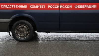 СК завел дело об истязании 6-летней девочки в Подмосковье