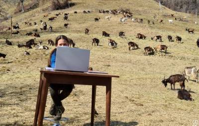 Онлайн-уроки на природе: 10-летняя девочка из Италии учится дистанционно в горах – фото