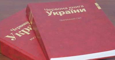 В Красную книгу Украины занесут новый перечень растений — более 850 видов
