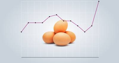 Среднерыночная стоимость одного яйца на рынке в Армении