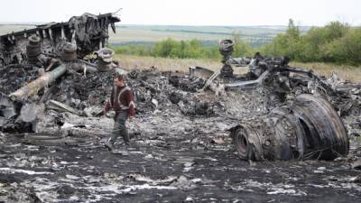 Техэксперт Антипов рассказал о новых деталях крушения MH17 в Грабово