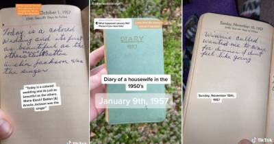 Дневник американской домохозяйки 1950-х произвел фурор в TikTok