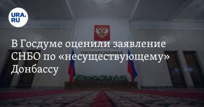 В Госдуме оценили заявление СНБО по «несуществующему» Донбассу