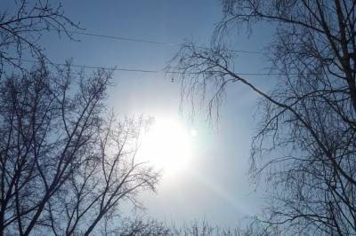 Погода в Хабаровском крае и ЕАО на 25 марта