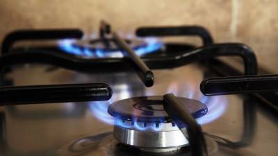 СП РФ рассказала о высокой стоимости подключения газа в сельской местности