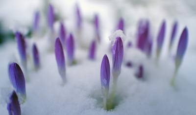 Днем весна, вечером мороз: синоптики сообщили о погоде на ближайшие дни