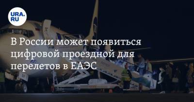 В России может появиться цифровой проездной для перелетов в ЕАЭС