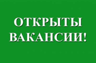 Жителей Ульяновской области ждут 33 горячие вакансии. Зарплаты – до 45000