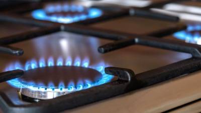 Счетная палата назвала причину отсутствия газа в российских селах