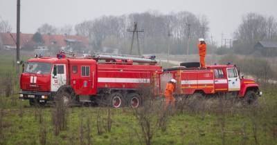 Калининградские пожарные 14 раз за сутки выезжали тушить горящую траву