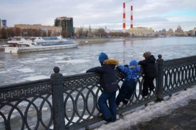 Заммэра Бирюков: Москву не затопит из-за паводка