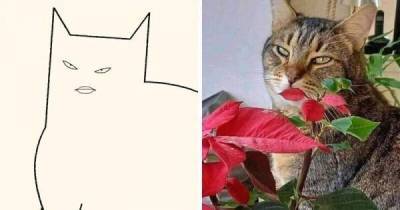 Художник рисует минималистичные рисунки мемных котов
