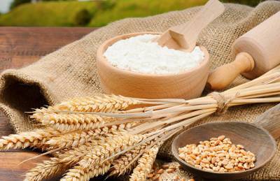 Мнение: Импортная пшеничная мука не вытеснит с рынка отечественную