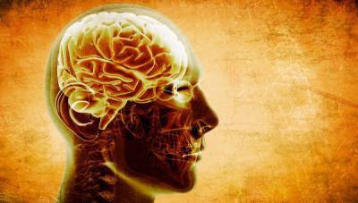 Названы пять главных продуктов для улучшения работы мозга