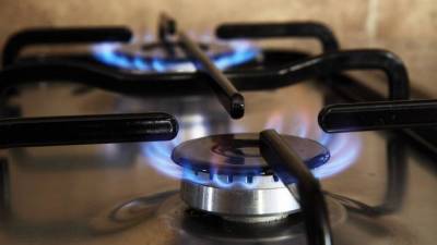 СП заявила о высокой стоимости подключения газа в деревнях России