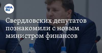 Свердловских депутатов познакомили с новым министром финансов