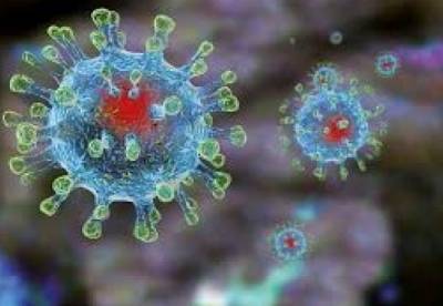 В Индии обнаружен новый штамм коронавируса с двойной мутацией