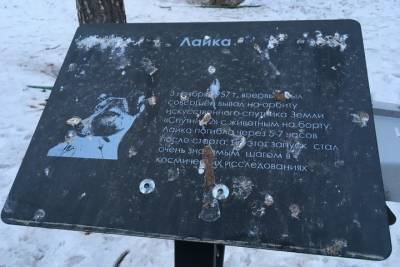 Саратовские птицы против конкуренции: мемориал космонавтам постоянно загажен