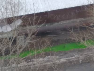 В Челябинске река Миасс окрасилась в зелёный цвет