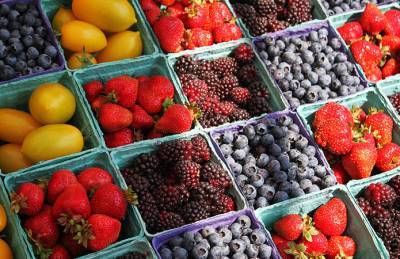 Мнение: Государство не защищает рынок ягод от импорта