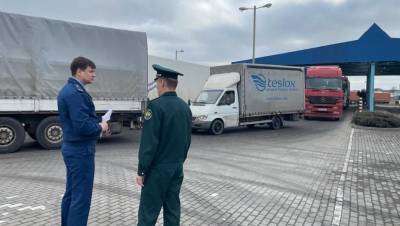 Калининградский пункт пропуска с очередями грузовиков проверит прокуратура