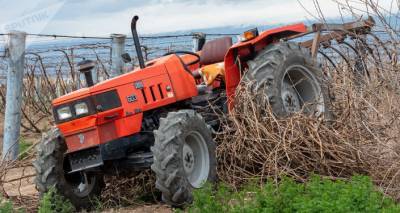 Льготные кредиты для малых фермерских хозяйств в Армении продлят до октября 2021-го