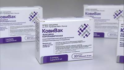 В России началось производство вакцины "КовиВак"