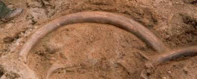 Первые каменные орудия человека оказались старше, чем считалось ранее