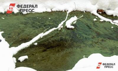 Стало известно, почему река в Барнауле позеленела