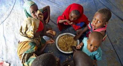 «В 20 странах начнётся голод»: эксперты ООН выступили с тревожным заявлением
