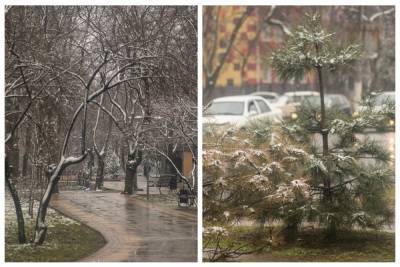 Март разбушевался: в сети показали кадры неожиданного снежного "сюрприза" в Одессе