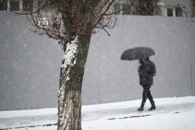Штормовой ветер и мокрый снег ждут Волгоградскую область