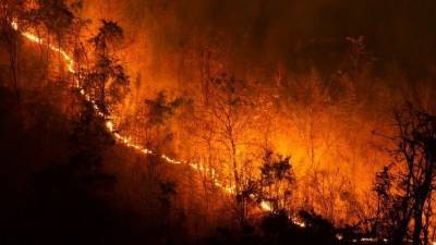 Не наводнение, так пожар: после потепления загорелся заповедник Хинганский