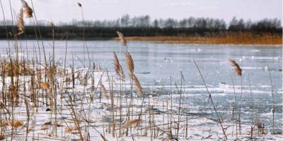 Пытался спасти собаку: в Харьковской области провалился под лед и утонул 15-летний школьник