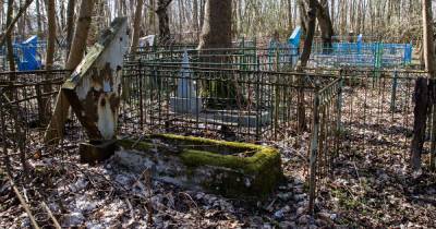 Мемориальные рощи и парки: как превратить калининградские кладбища в места для прогулок