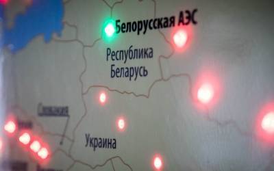 Литва продолжает настраивать соседей на бойкот БелАЭС за спиной у Минска